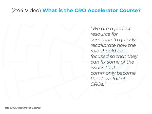 The CRO Collective:  Re-Defining and Developing Chief Revenue Officers - Page 10