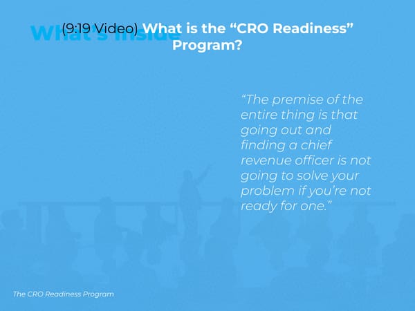 The CRO Collective:  Re-Defining and Developing Chief Revenue Officers - Page 17